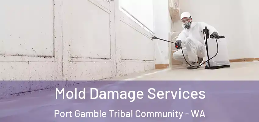 Mold Damage Services Port Gamble Tribal Community - WA