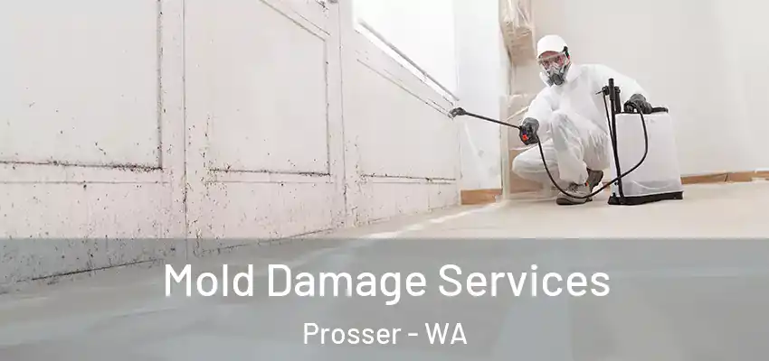  Mold Damage Services Prosser - WA
