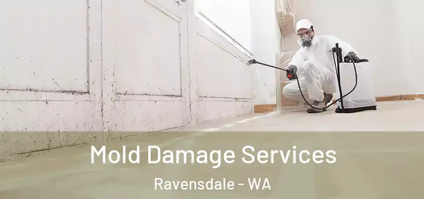  Mold Damage Services Ravensdale - WA