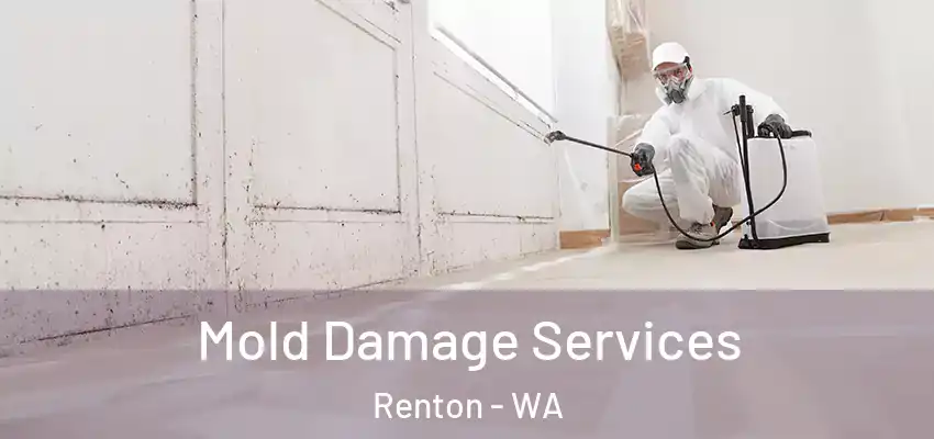  Mold Damage Services Renton - WA