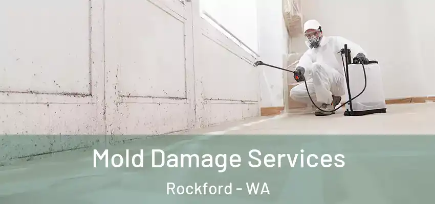  Mold Damage Services Rockford - WA