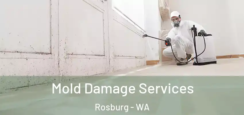  Mold Damage Services Rosburg - WA
