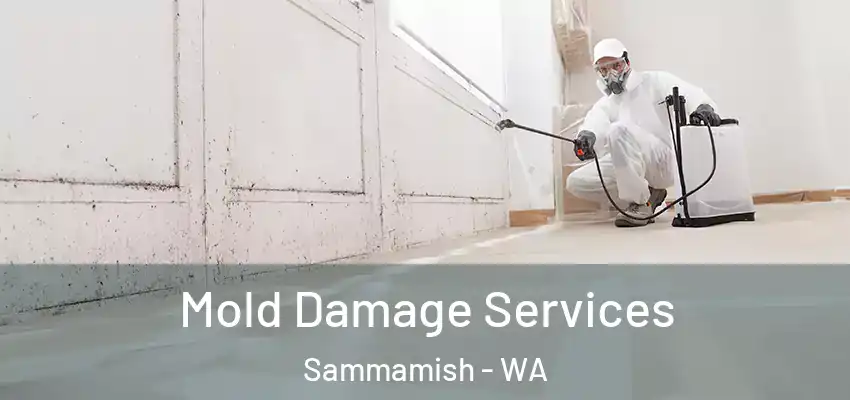  Mold Damage Services Sammamish - WA