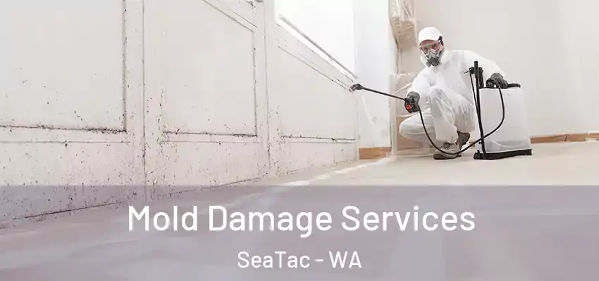 Mold Damage Services SeaTac - WA