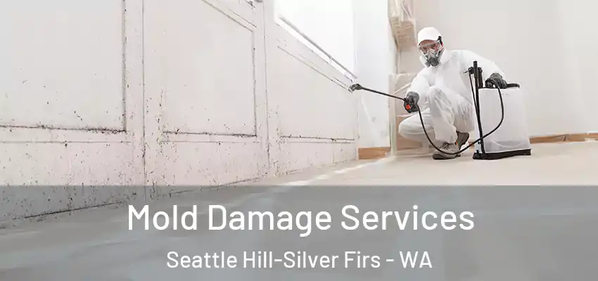  Mold Damage Services Seattle Hill-Silver Firs - WA