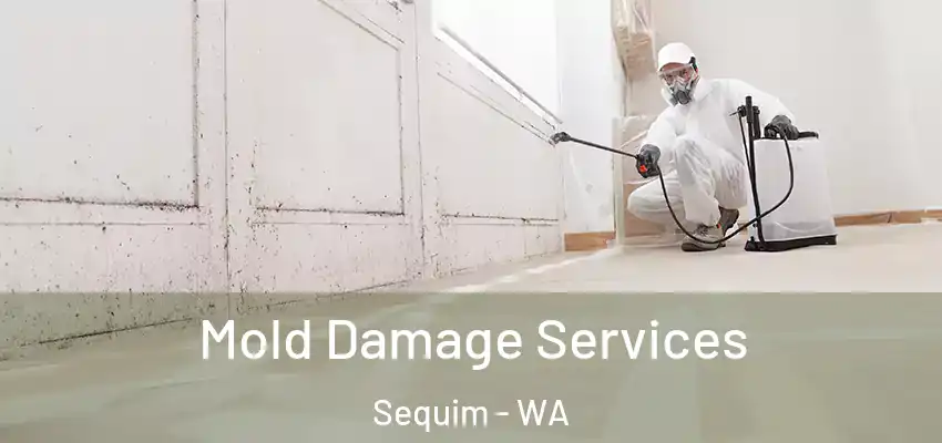  Mold Damage Services Sequim - WA
