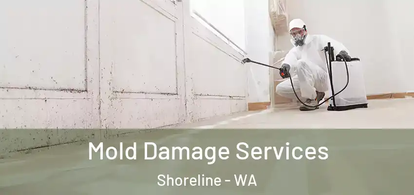  Mold Damage Services Shoreline - WA