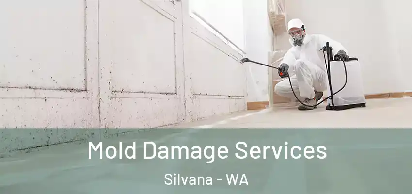  Mold Damage Services Silvana - WA