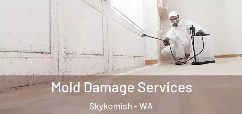  Mold Damage Services Skykomish - WA