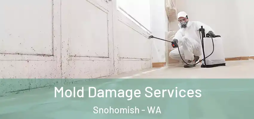  Mold Damage Services Snohomish - WA