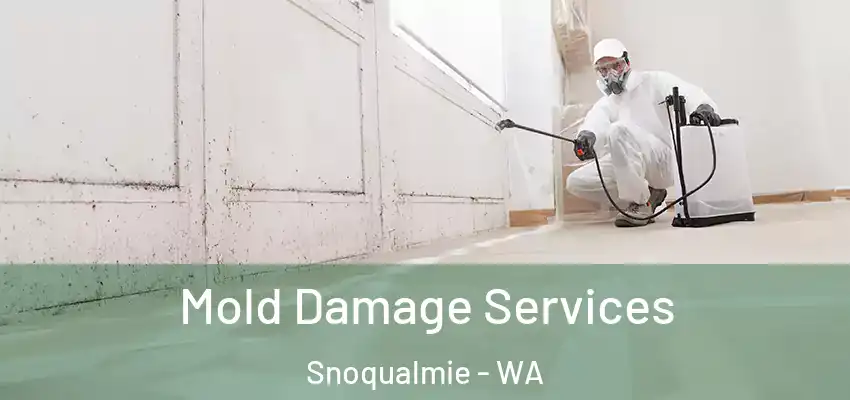  Mold Damage Services Snoqualmie - WA