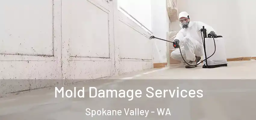  Mold Damage Services Spokane Valley - WA