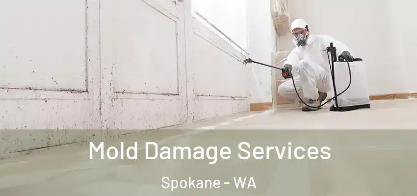  Mold Damage Services Spokane - WA