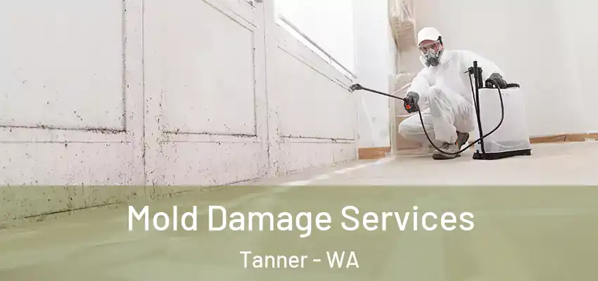  Mold Damage Services Tanner - WA