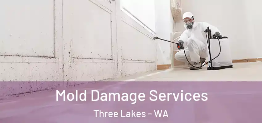  Mold Damage Services Three Lakes - WA