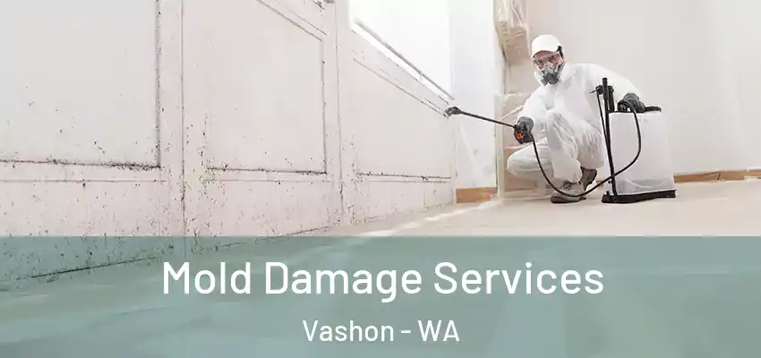 Mold Damage Services Vashon - WA