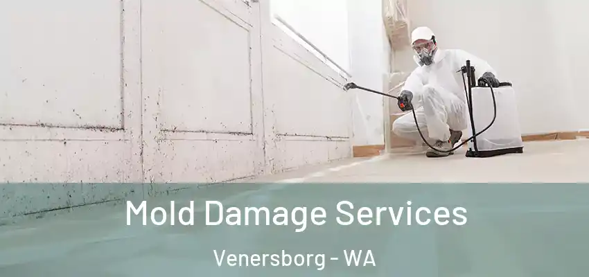 Mold Damage Services Venersborg - WA