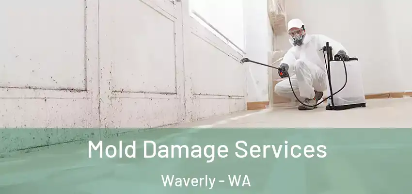 Mold Damage Services Waverly - WA