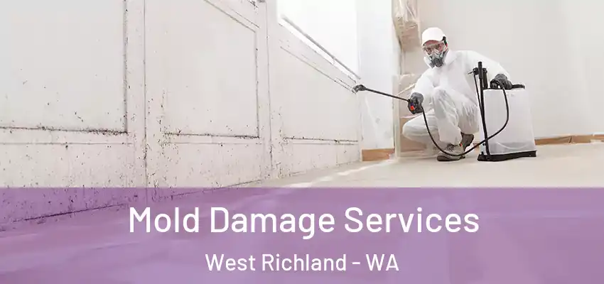  Mold Damage Services West Richland - WA