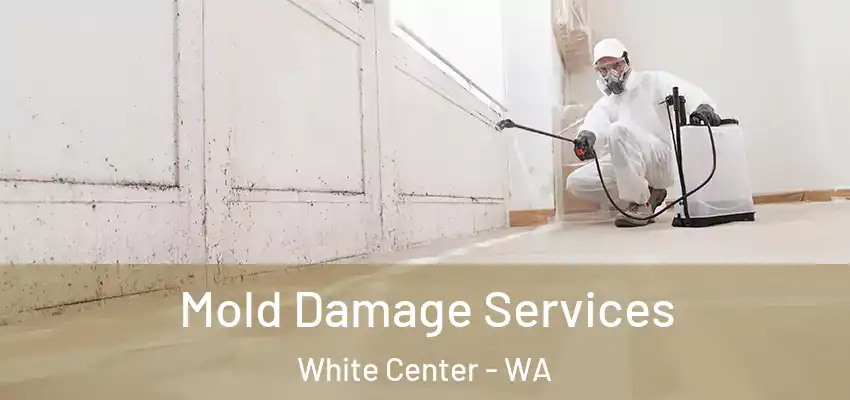  Mold Damage Services White Center - WA