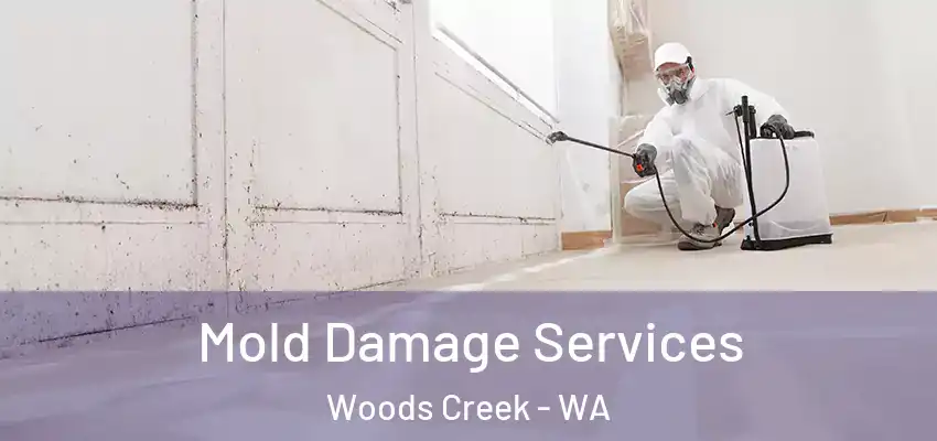  Mold Damage Services Woods Creek - WA