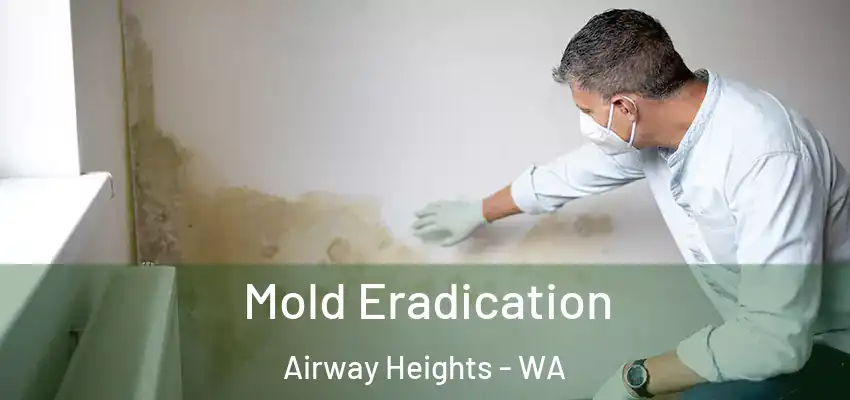  Mold Eradication Airway Heights - WA