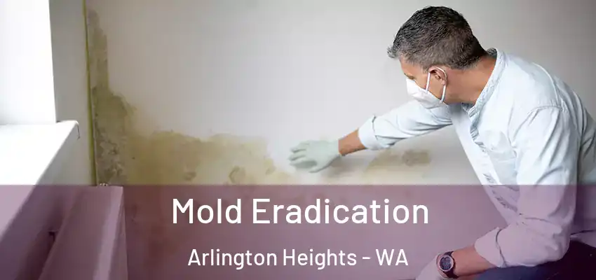  Mold Eradication Arlington Heights - WA