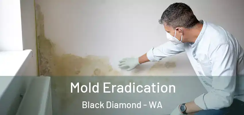  Mold Eradication Black Diamond - WA