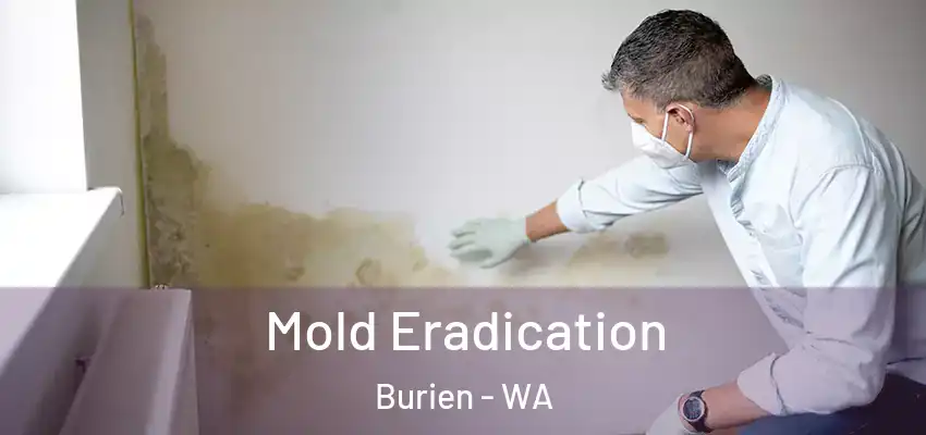  Mold Eradication Burien - WA