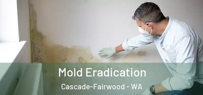  Mold Eradication Cascade-Fairwood - WA