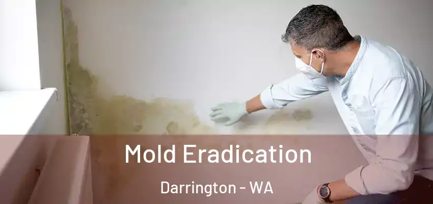  Mold Eradication Darrington - WA