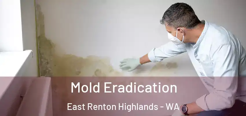  Mold Eradication East Renton Highlands - WA