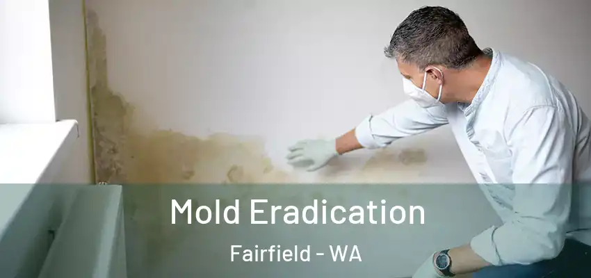  Mold Eradication Fairfield - WA