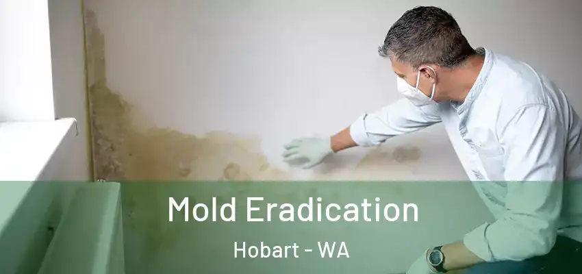  Mold Eradication Hobart - WA