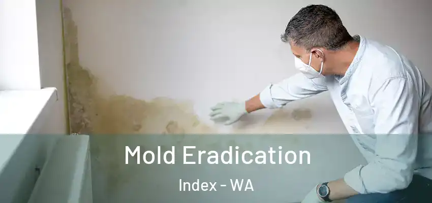  Mold Eradication Index - WA