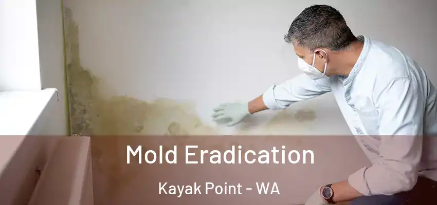  Mold Eradication Kayak Point - WA
