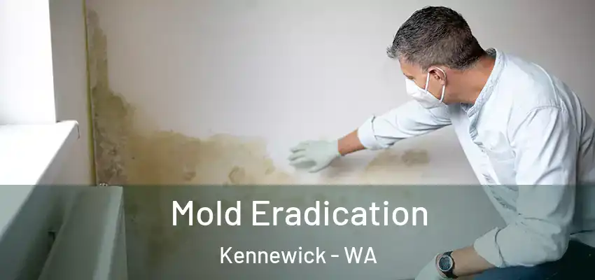  Mold Eradication Kennewick - WA