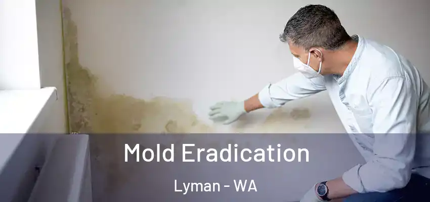  Mold Eradication Lyman - WA