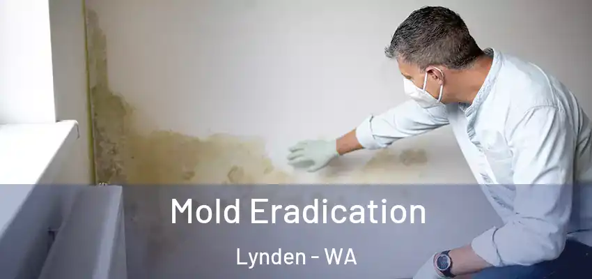 Mold Eradication Lynden - WA