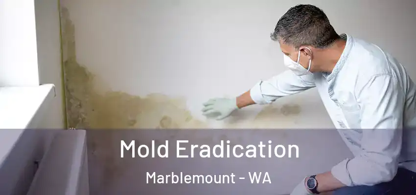  Mold Eradication Marblemount - WA