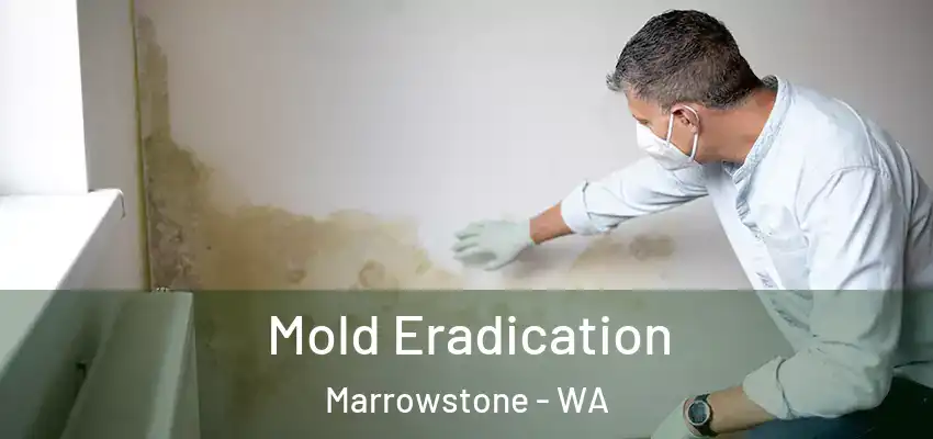  Mold Eradication Marrowstone - WA