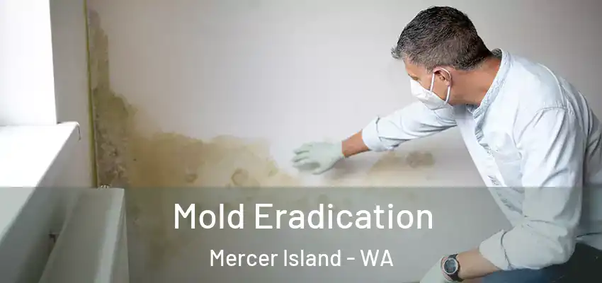  Mold Eradication Mercer Island - WA