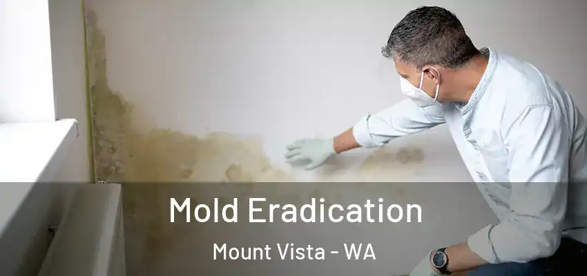  Mold Eradication Mount Vista - WA
