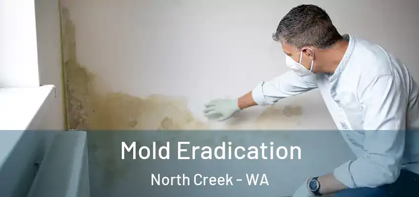  Mold Eradication North Creek - WA