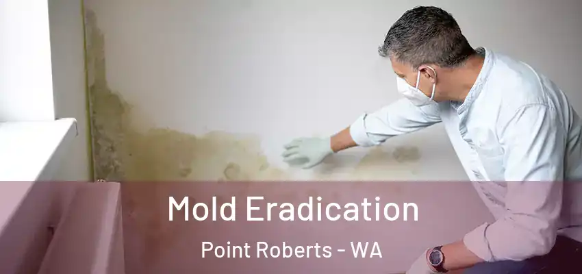  Mold Eradication Point Roberts - WA