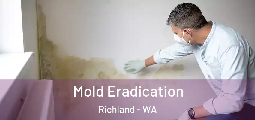 Mold Eradication Richland - WA