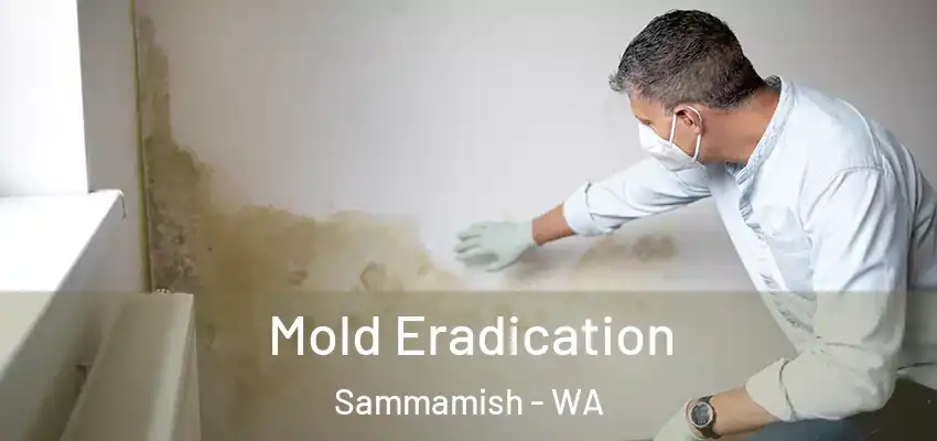  Mold Eradication Sammamish - WA