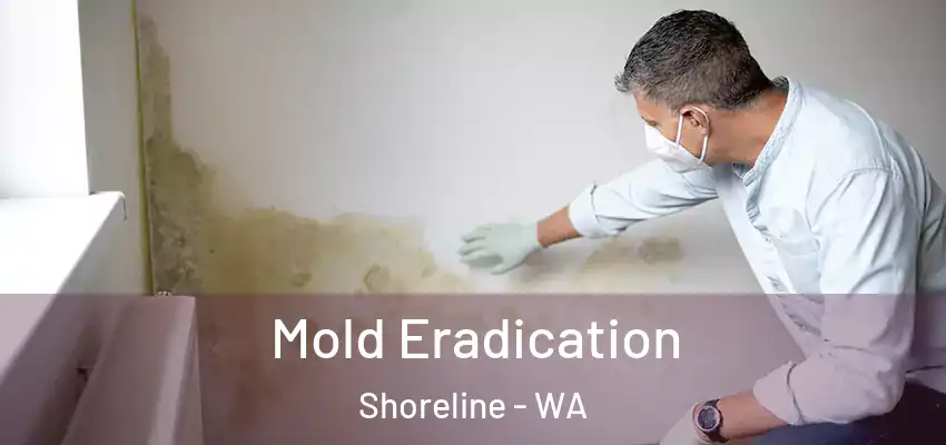  Mold Eradication Shoreline - WA
