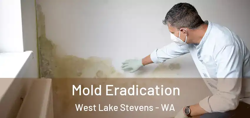  Mold Eradication West Lake Stevens - WA