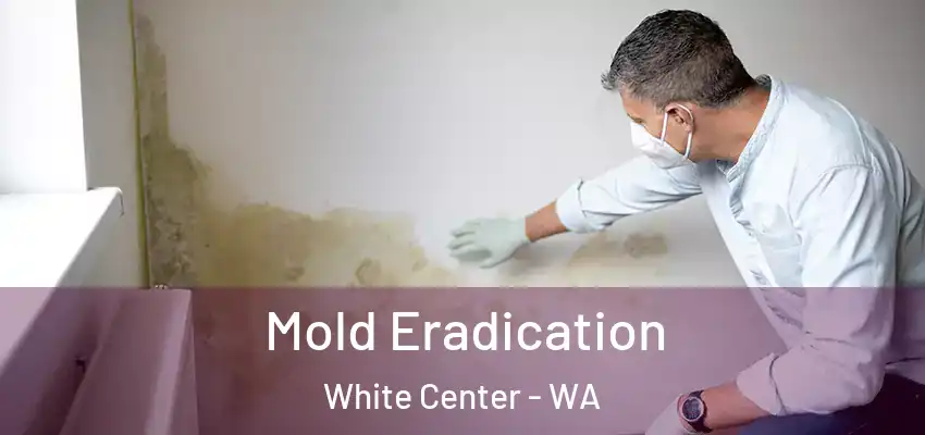  Mold Eradication White Center - WA
